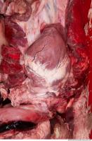RAW meat pork viscera 0053